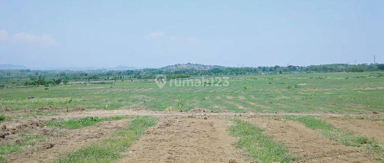 Dijual Tanah Industri Siap Bangun Sugih Manik Grobogan Jawa Tengah 1