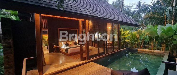 VILLA MEWAH DI UBUD LOKASI STRATEGIS 1