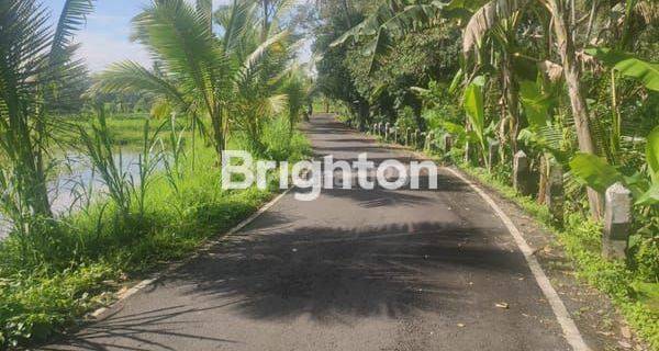 RUMAH MURAH DI BY PASS IR SOEKARNO TABANAN 1