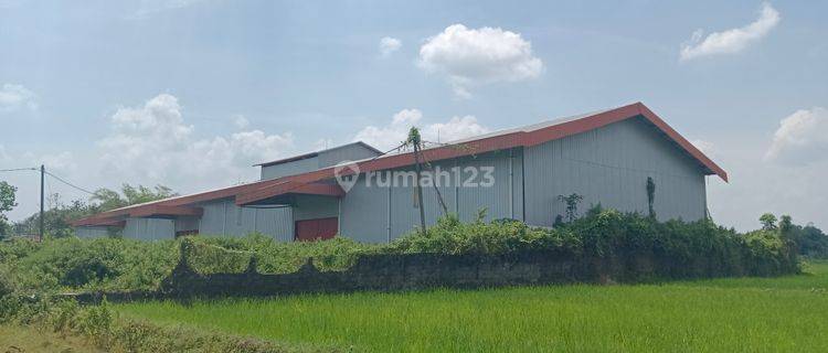 Disewakan Gudang di Grobogan lb 1200m lt 7000 m SHGB 1