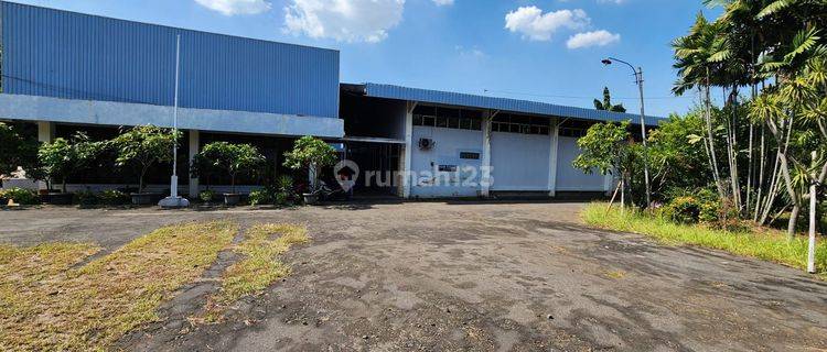 Di Sewakan Gudang Lb 5000m Lt 6000m Hgb Di Siliwang Krapyak Ngaliyan 1