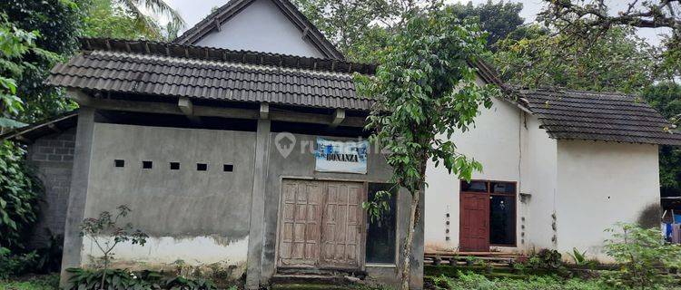 Rumah besar Selatan Pasar Kutukan Garum Blitar 1