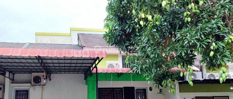 Disewakan/for Rent Rumah Cantik BEVERLY GREEN Batam Center 1