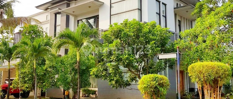 Rumah Serpong Sutera Magnolia Mewah Dan Elegan Tangerang Selatan 1