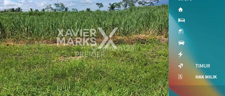 Tanah di Karangpandan Pakisaji Malang Lokasi Strategis  1