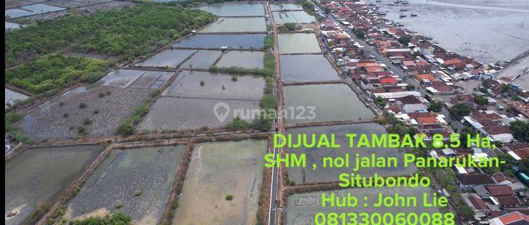 Tanah Tambak Raya Panarukan Situbondo Jawa Timur, Lokasi Strategis, Sekitar Ada Tambak, Pabrik Rumput Laut, Hatchery Dll 1