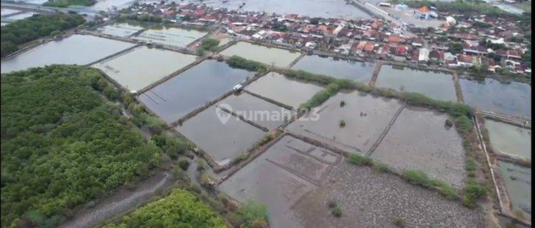 Dijual Tanah Komersil Ex Tambak Raya Panarukan Situbondo Jawa Timur, Arah Surabaya Bali, Sangat Strategis 1