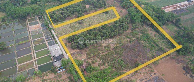 Jual Tanah Murah Bisa Untuk Perumahan zona Kuning. Bisa untuk peternakan juga, lokasi bagus , jurusan Pasuruan - Bromo. Harga nego , mau jual cepat. 1