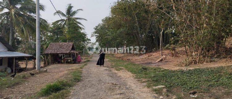 Dijual Tanah 11 Ha SHM di Labuan Pandeglang, Banten 1