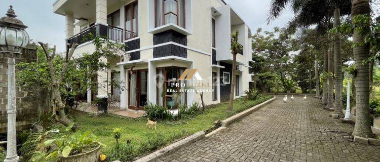 Dijual Rumah Besar Cocok Untuk Investasi / Villa di Ciawi Bogor 1