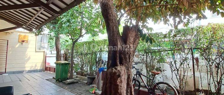 Dijual Cepat Rumah 2 Lantai Siap Pakai di Kayumanis Matraman  1