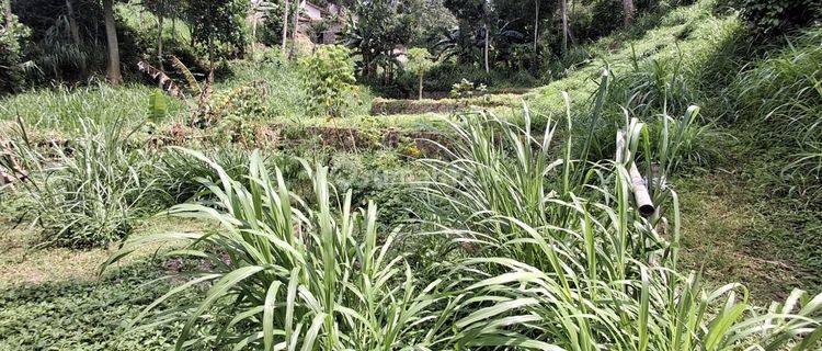 Tanah Luas Di Cipulus Wetan Kec Cilengkrang Kab Bandung 1