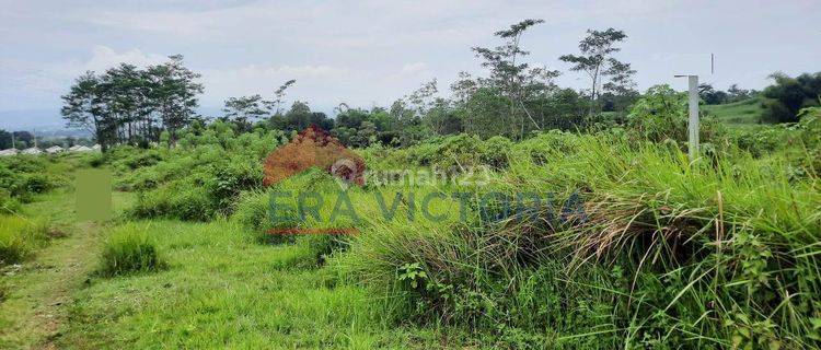 Tanah Kawasan Perumahan Pandanlandung Wagir View Pegunungan 1