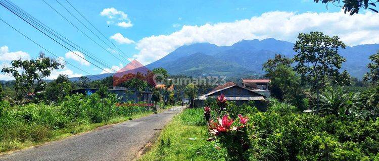 Dijual Tanah View Cantik Gunung Dekat Raya Purwodadi Pasuruan 1