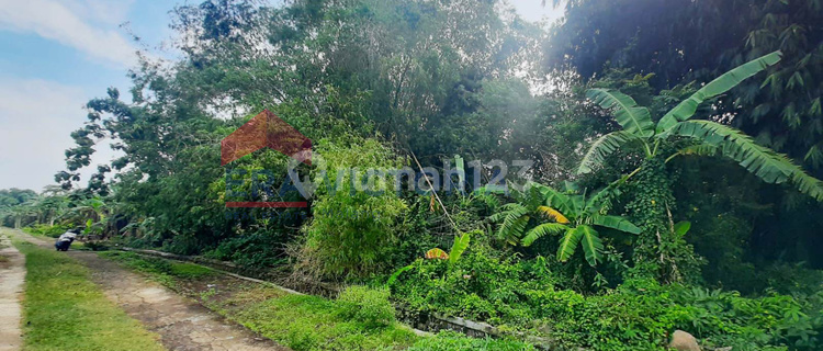 Tanah Kavling Siap Bangun Dekat Fasilitas Umum Lokasi Jombang  1