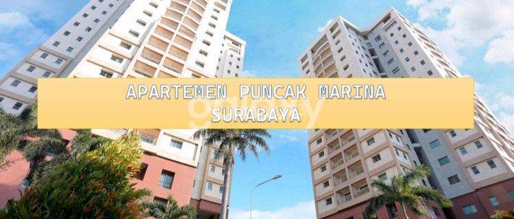 Apartemen Puncak Marina Margorejo 1