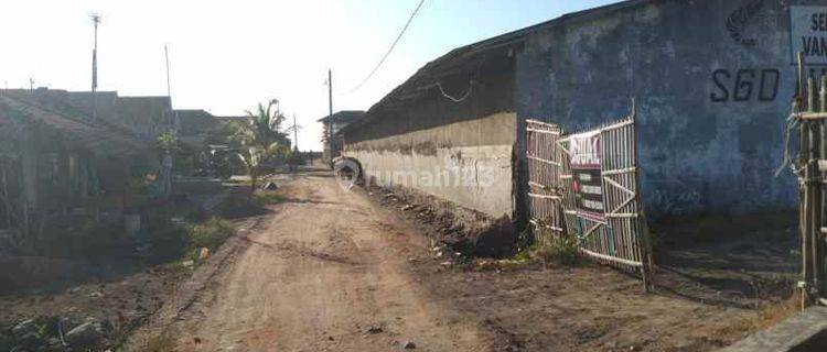 Hatchery, Pembenihan Ikan Dan Udang Pinggir Jalan Pantura Dan Laut 1