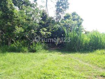 Tanah Kavling Sangat Cocok Untuk Hunian Atau Villa di Mengwi Badung 1