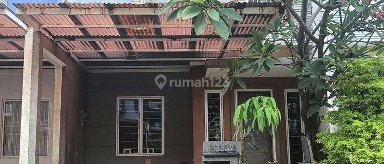 Dijual Rumah Bebas Banjir, 2 Lantai Bagus Hadap Utara,  1