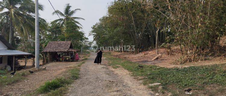 Dijual CEPAT TANAH Luas 11 HA di Daerah Pasir Panjang Pandleglang BANTEN 1