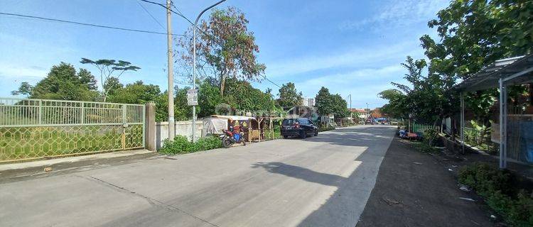 Tanah disewakan dekat Jalan Lingkar dramaga bogor 1