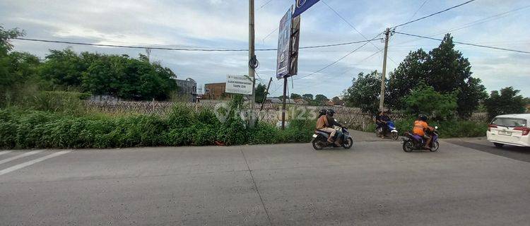 Tanah Disewakan Di Jalan Raya Dramaga Bogor Cocok Buat Usaha  1