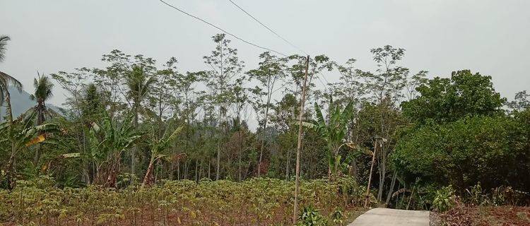 Dijual Tanah Kebun, Bonus Pohon Duren Di Cikembar, Sukabumi 1