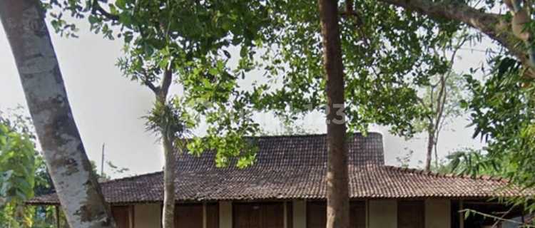 Dijual Rumah, Bonus Tanah Super Luas Di Ngadirojo Wonogiri 1