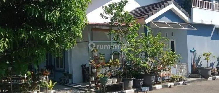 Dijual Rumah Siap Huni 2 Lantai Dekat Terminal Laladon di Town House Prima Indah 1