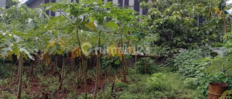 Cheap land for boarding near UNNES Ring 1 1