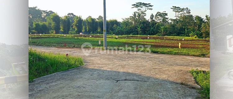 Tanah murah mangunsari lokasi datar SHM Ready mangunsari 1