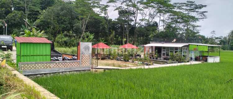 Cafe di Jual Murah Loksi Ring 2 Unnes 1