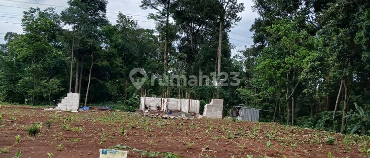 Tanah murah harga mulai 90 -100 juta gunungpati bisa ditempo 1