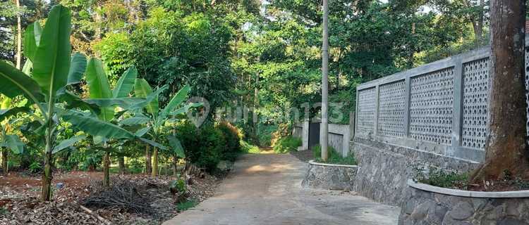 Kebun Durian Dijual Murah Gunungpati 1