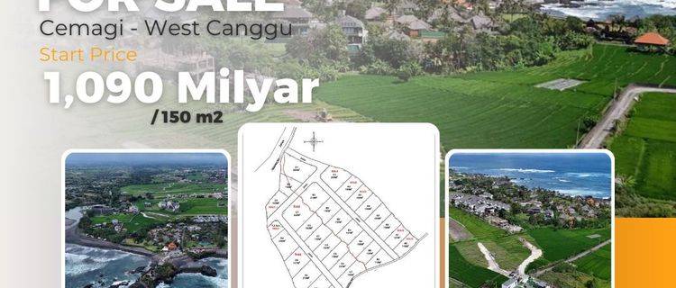 Tanah Kavling Canggu Bali TERMURAH 1