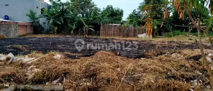 Dijual Tanah Pekarangan Hadap Selatan Milik Sendiri Luas 1310 M2 1