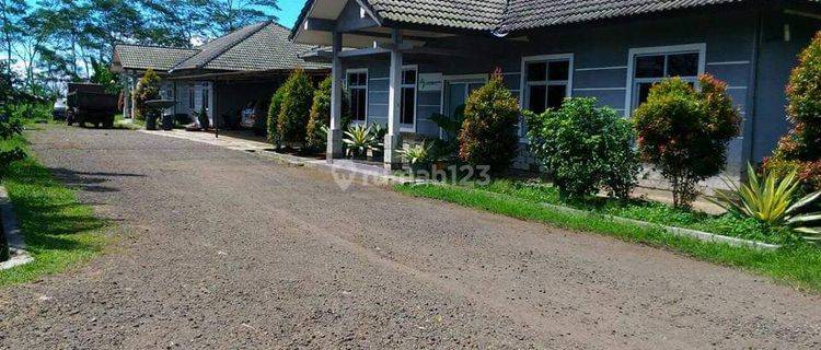 Dijual Peternakan Sapi Potong Impor Ex Autralia Tanah Bangunan  1