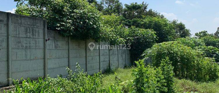 Full Tembok Tanah 9013m2 Cikeusal Serang Banten Akses Kontainer  1