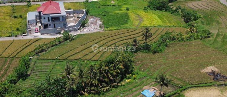 Tanah 9 Are Dekat Pantai Kedungu Cocok Untuk Villa 1