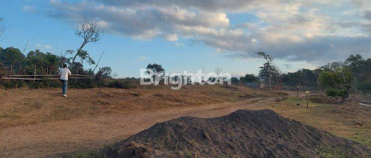 FREE HOLD LAND BEACH FRONT AT SABA BEACH 1