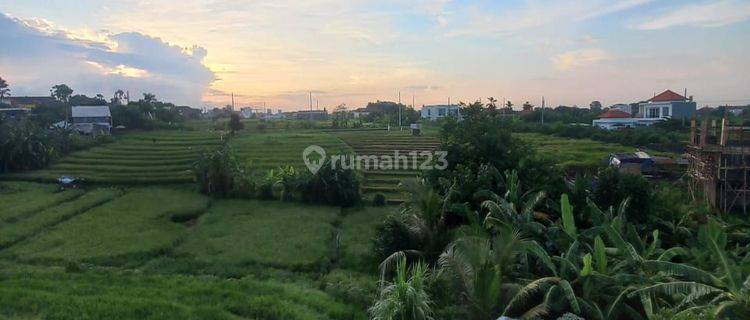 Brand New House For Rent View Rice Fields  With Sunset 1