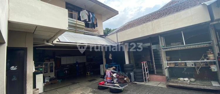 Rumah Sayap Riau Langka 1