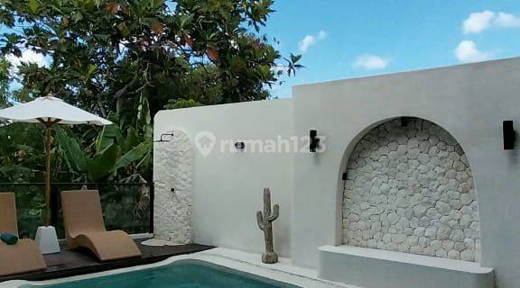 Brand New Villa Canggu With Ricefield View & Near Beachclub 1