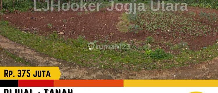 Tanah Luas , Hook di Karangmojo Gunung Kidul  1