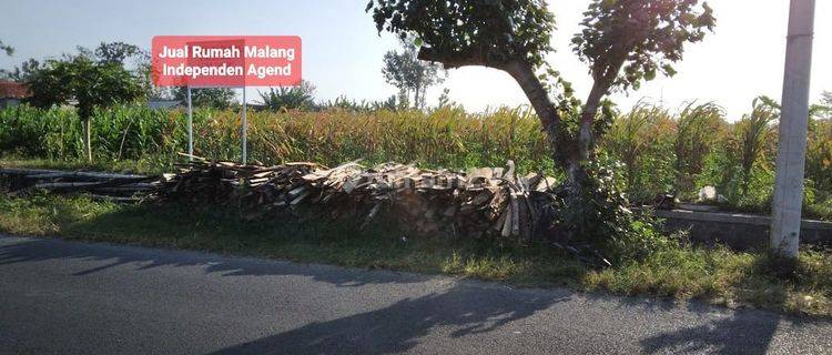Dijual Tanah Blitar Tanah di Blitar 1147 SHM m² 1