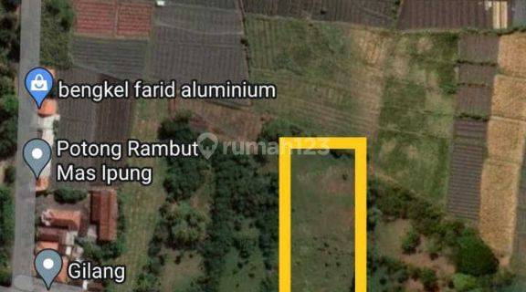 Tanah Desa Tamansari Dringu Probolinggo Murah. Fer.a393 1
