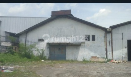 Sewa Gudang Pamularsih 1000m2 1