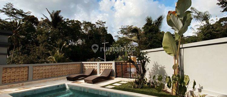 Modern Villa 2 Kamar Tidur 15 Menit Ke Central Ubud Gianyar Bali 1