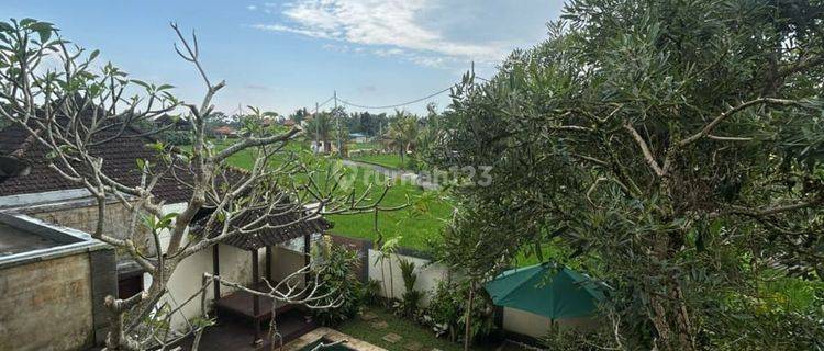 Villa Sewa 2 Kamar Tidur Di Sayan Ubud Gianyar Bali  1
