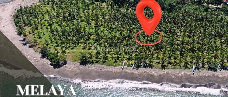  Tanah Tepi Pantai Di Pantai Melaya Jembrana Bali 1